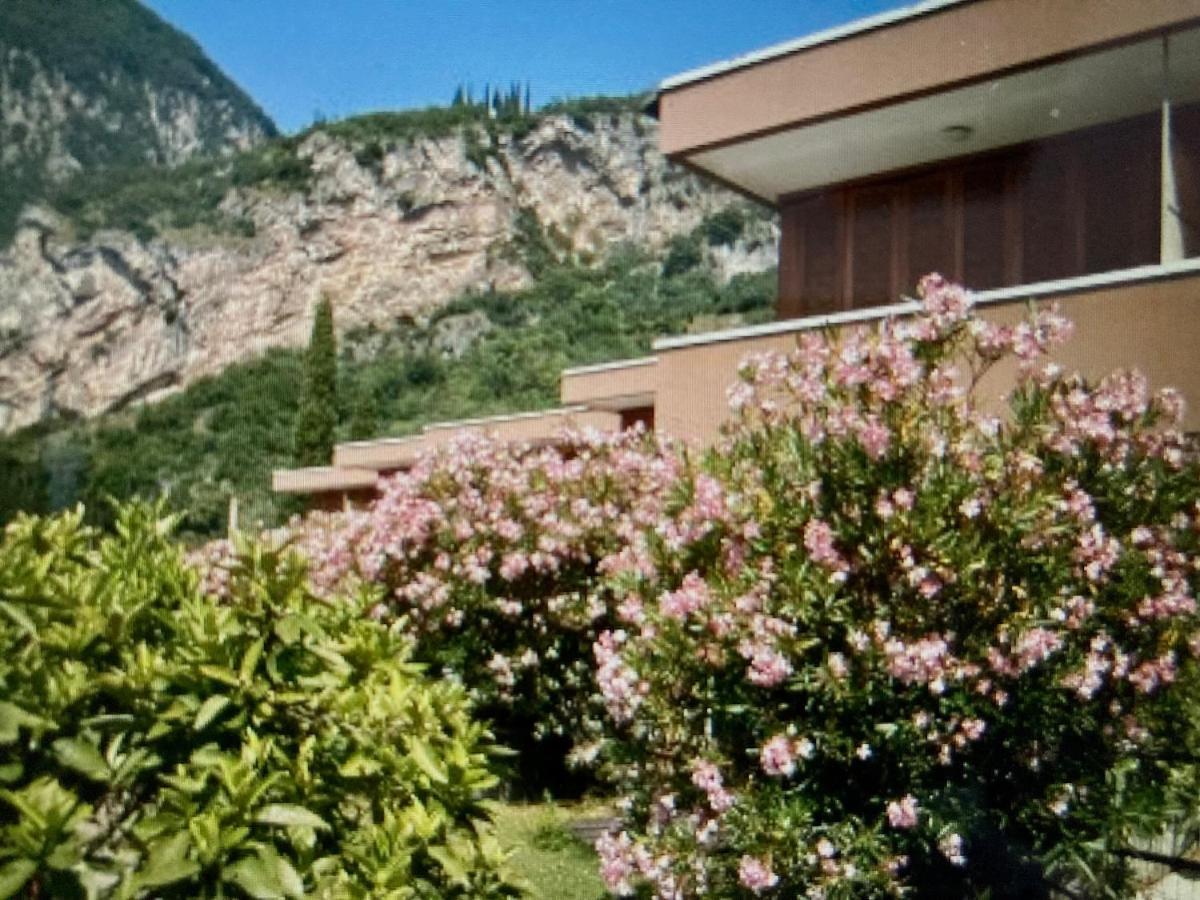 Appartamento Peppino Mit Seeblick Und Pool Рива-дель-Гарда Экстерьер фото